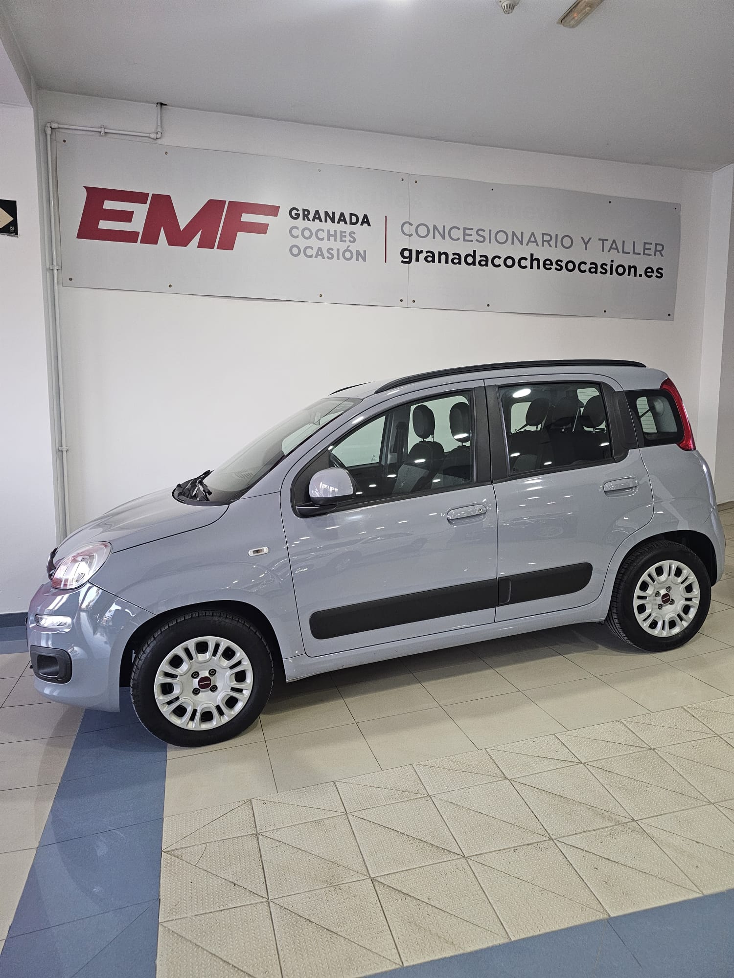 ·#1#-fiat-panda-lounge-seminuevo-segunda-mano-ocasion-milanuncios-coches-net-autocasion-granada-valencia-alicante-cordoba-madrid-malaga-jaen-barcelona-cordoba-sevilla -enrique -martin (2)