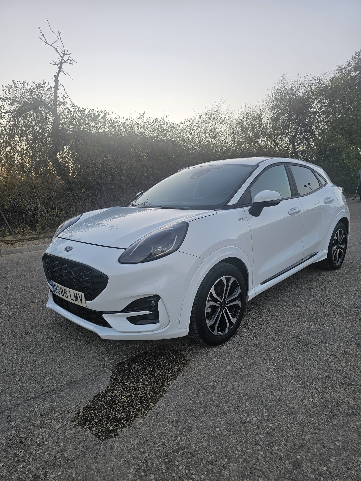 ·#1#-ford-puma-hibrido-st-line- seminuevo-segunda-mano-ocasion-milanuncios-coches-net-autocasion-granada-valencia-alicante-cordoba-madrid-malaga-jaen-enrique -martin