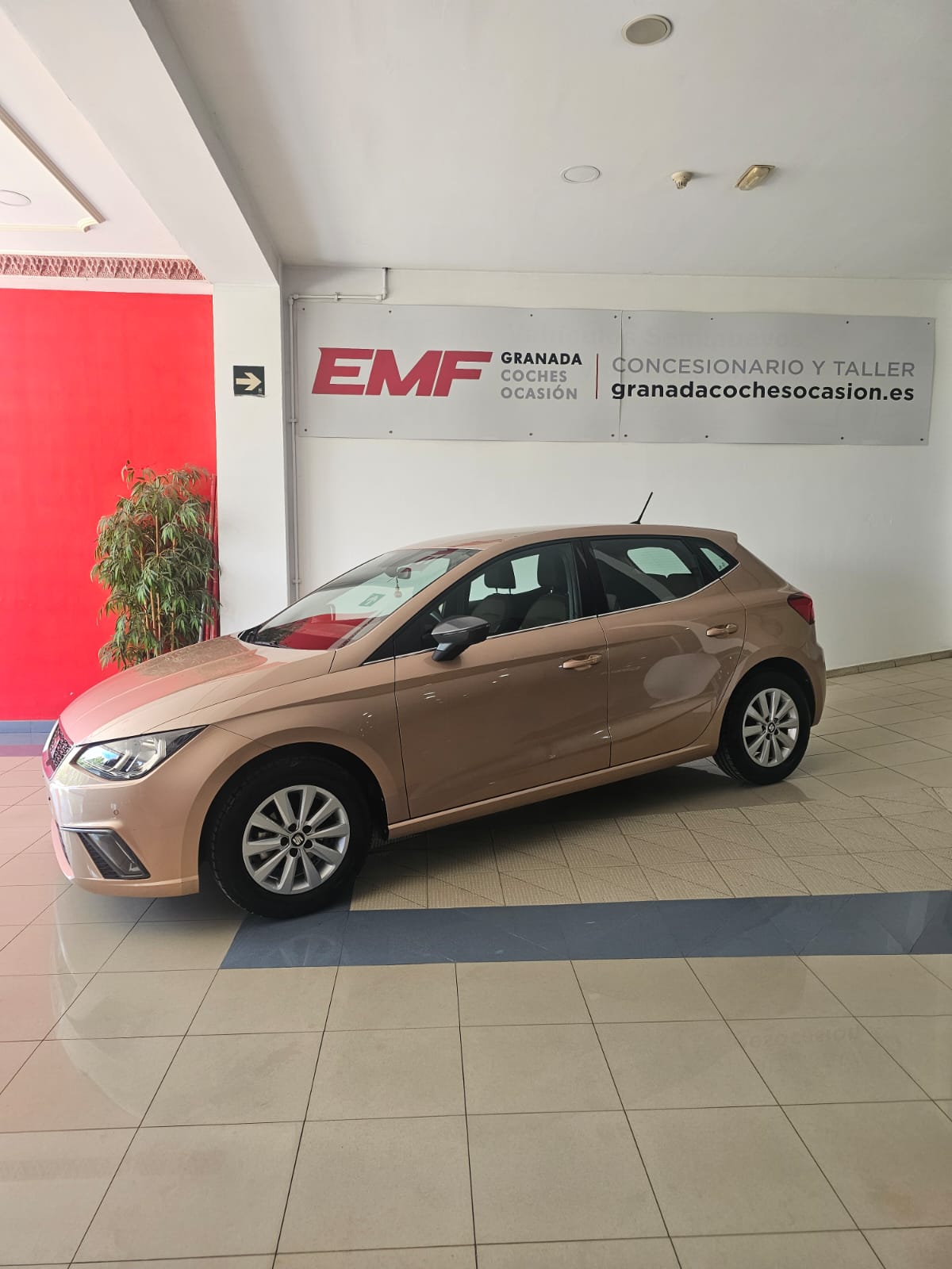 #2#SEAT IBIZA - XCELLENCE-TSI-ECO-EXCELLENCE-ANTEQUERA-HUETOR-TAJAR-GRANADA-MALAGA-COCHES-VENTAS-CORDOBA-SEVILLA-REESTRENO-ENRIQUE-MARTIN-