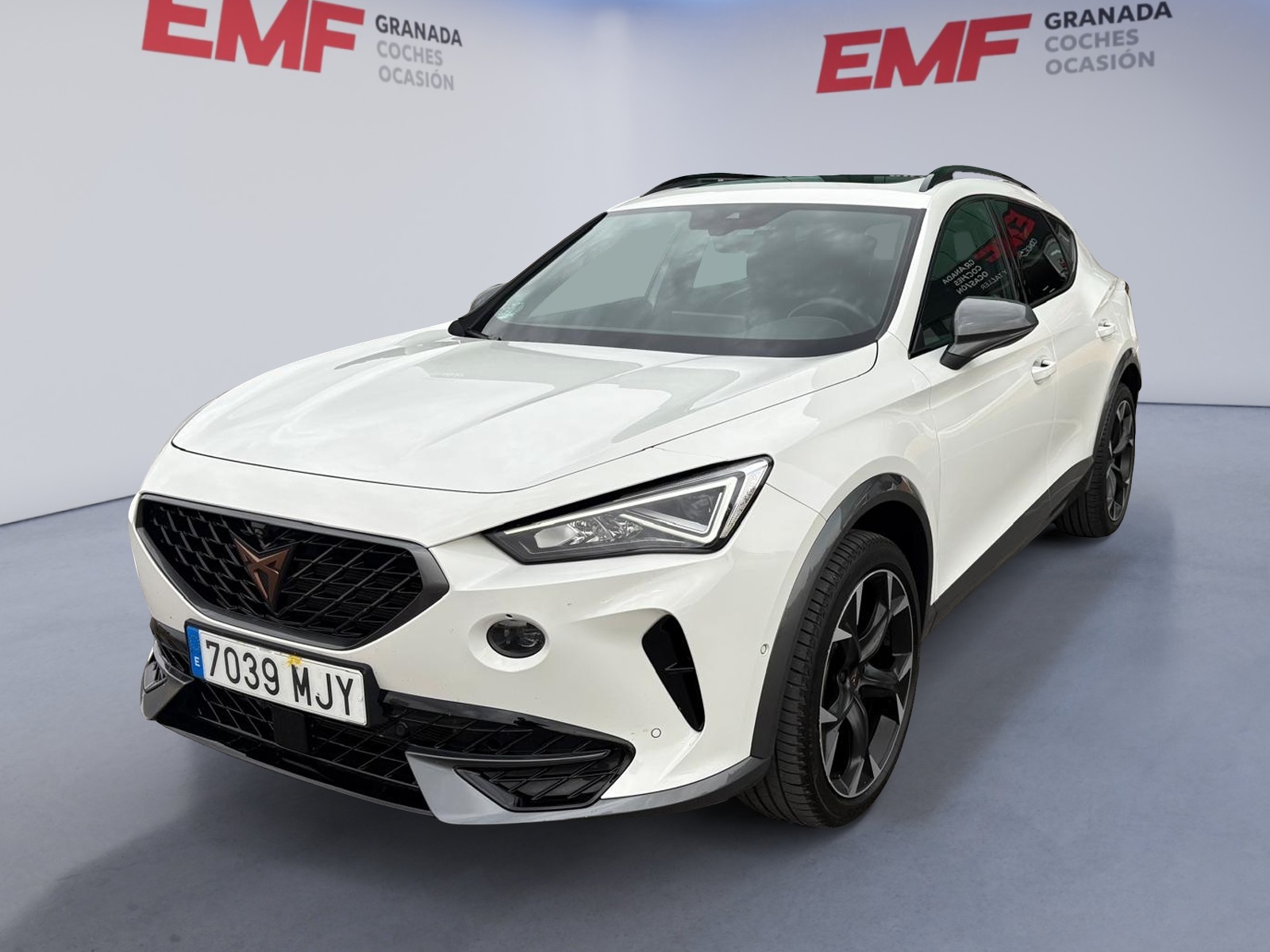 CUPRA FORMENTOR 2.0 TDI 150 cv - Imagen 2