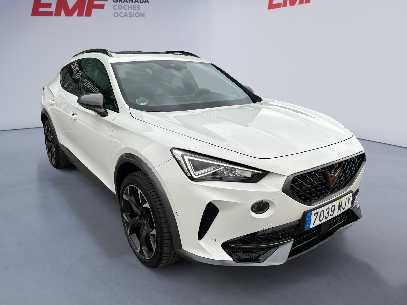 CUPRA FORMENTOR 2.0 TDI 150 cv - Imagen 3